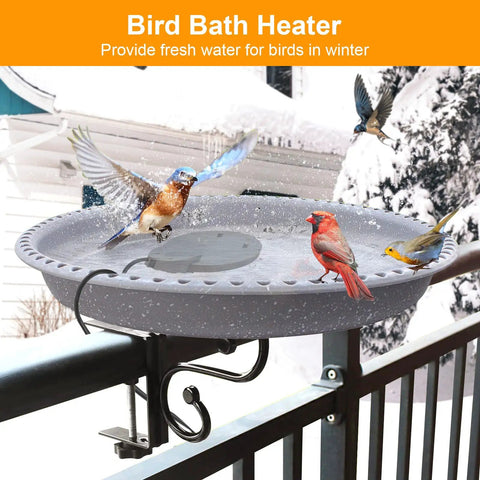 Ditch The Daily Ice Chipping Grind With This Heavy Duty 500W Poultry Water Heater Featuring An Auto Thermostat And Rugged Aluminum Bird Bath Deicer Plus Dependable Livestock Trough Warmer For Backyard Hydration, featuring birds enjoying fresh water.
