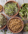 Various sprouts and seeds displayed in bowls and a wooden spoon on a rustic wooden surface, showcasing Organic Sprouting Seed Assortment Pack For Microgreens And Sprouts, 12 Pre-Measured Packs Featuring Broccoli, Alfalfa, Mung, And More, Non GMO Ready To Grow No Guesswork.