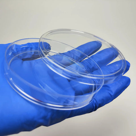 Sterile Plastic Petri Dishes With Lids For Mold Testing And Microbiology Experiments 150 X 15mm Agar Plates Pack Of 10 Ideal For Cell Culture And Mycology Gear, held in gloved hand