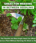 Long Handled Sickle Hoe For Easy Weeding In Tight Beds 58 Inch Japanese Stainless Steel Scraper Hoe with bent blade in use