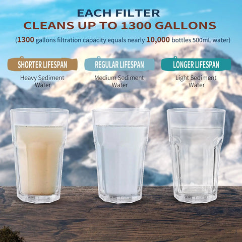Two Pack Water Filter Straw for On the Go Drinking, Survival Purification Straw for Hiking, Camping, Travel, and Emergency Gear, SGS