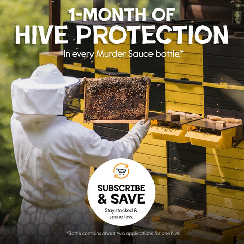 Beekeeper inspecting hive with Beetle Eliminator For Beekeeping Safe Long Lasting Hive Beetle Prevention For Your Apiary