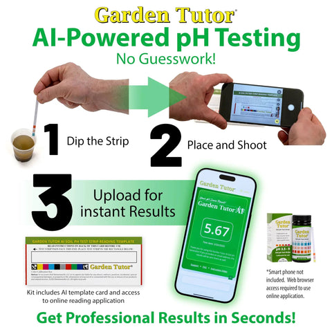 Infographic showing steps to use Soil pH Test Kit With 100 Strips And AI Web Reader For Quick Pro-Grade pH Checks In Lawn, Garden, Compost.