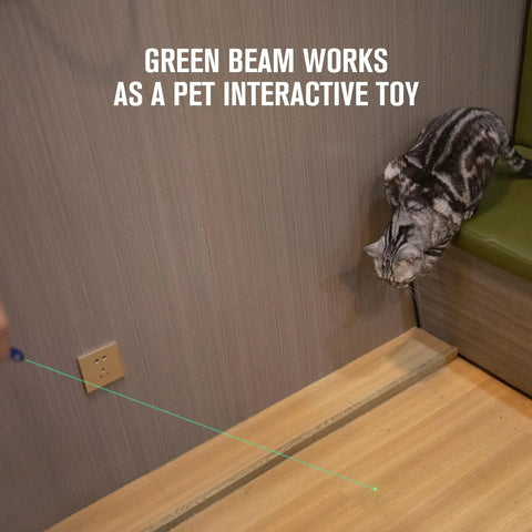 Cat playing with green beam from 4 In 1 Pen Light And Writing Tool, 120 Lumen USB C Rechargeable EDC Pen with Green Beam for Presentations