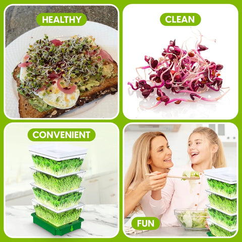 Collage of 4 tier sprouting kit with sprouts on toast and family enjoying fresh sprouts indoors, highlighting health benefits.