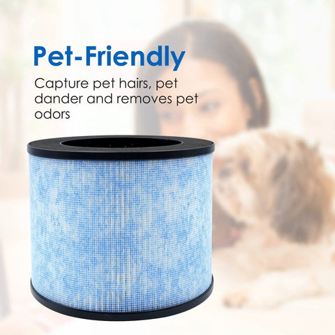 Replacement Filter For Instant AP100 Air Purifier 3 In 1 H13 Grade Filtration shown with pet-friendly label and woman with dog