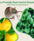 24 Pack Peppermint Oil Rodent Repellent Busts Mice Rats Spiders Roaches Squirrels Inside Out with lemon and mint plant.