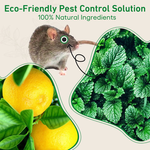 24 Pack Peppermint Oil Rodent Repellent Busts Mice Rats Spiders Roaches Squirrels Inside Out with lemon and mint plant.