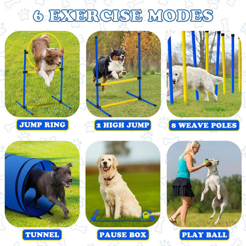 Dogs using jump ring, high jump, weave poles, tunnel, pause box, play ball in Backyard Dog Agility Course Set All In One Obstacle Kit