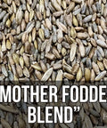 Close-up of Mother Fodder Blend 12Lb EcoPack All In One Grain Seed Mix For Bird Food And Fresh Grass Sprouts.