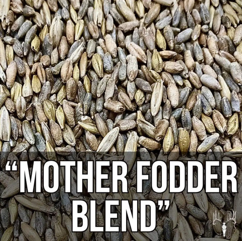 Close-up of Mother Fodder Blend 12Lb EcoPack All In One Grain Seed Mix For Bird Food And Fresh Grass Sprouts.