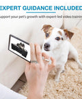 Person showing phone video of KLIMB Jr Dog Training Platform to a dog as part of behavior basics guide at home.