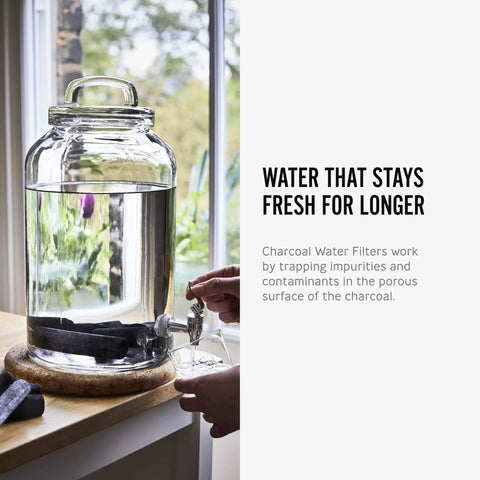 Large glass jug with charcoal water filter sticks for dope tasting hydration inspired by old Japanese tradition, six-month use.