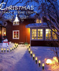 Outdoor Twenty Five Point Seven Feet 20 LED C9 Christmas String Lights With Strawberry Shell Stakes lighting a snowy path