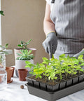 Person tending to seedlings in tray with Eight Pack Replacement Capillary Mats For Seed Starting 13 By 8 Inches Self Watering Grow Mat Set