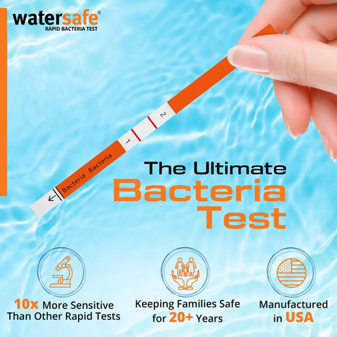 Pool And Spa Rapid Bacteria Test Kit With 10 Minute Results For Home Use Detects E Coli Salmonella And More Pack Of 10 A Convenient Water Quality Check For Pools Hot Tubs And Spas