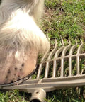 All Purpose Wash Fork Head With Ergonomic Grip Handle Lightweight Aluminum Shaft Flexible Polycarbonate Tines in grass with horse hoof