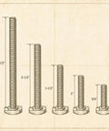 Illustration of five drop-in T-slot bolts with various lengths for Drop-In T-Slot Bolts Hardware Kit With 60 Pieces, Knobs And Washers.