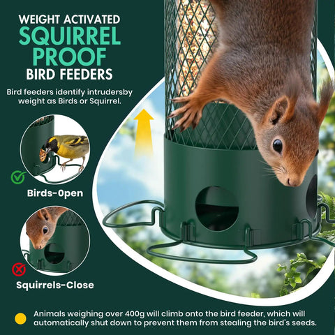 Heavy Duty Weight Activated Squirrel Proof Bird Feeder For Outdoor Hanging Large Capacity All Metal Weatherproof And Durable No Fuss Four Perches Attracts Finches Cardinals Blue Jays Chickadees Green shown deterring a squirrel