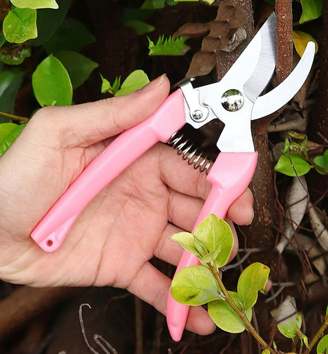 Hand holding Rugged Pro Grade Garden Flower Shears Pruning Scissors Six Point Nine Inch High Carbon Steel Sharp Plant Cutter