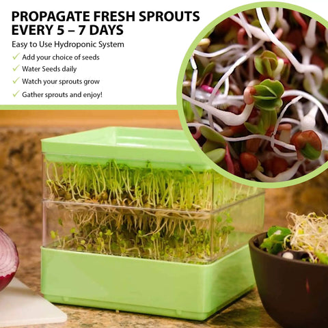 Two Tier Seed Sprouter Kit with Lid for Indoor Germination and Microgreens Grow Trays on kitchen counter with sprouts inside.