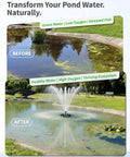 Floating Fountain And Aerator All In One Kit With LED Lights For Ponds Lakes And Water Gardens before and after effects on pond water