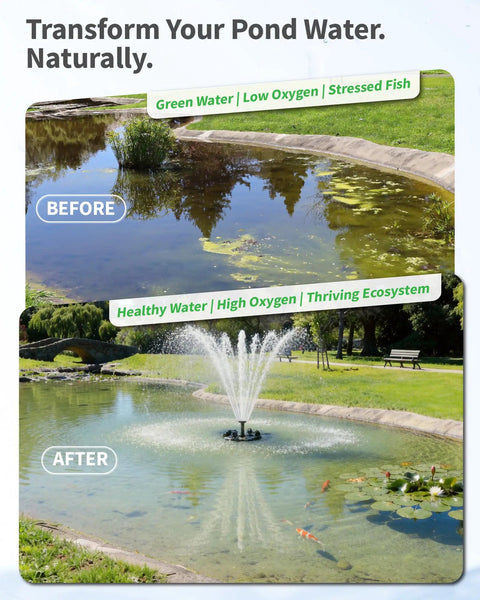 Floating Fountain And Aerator All In One Kit With LED Lights For Ponds Lakes And Water Gardens before and after effects on pond water