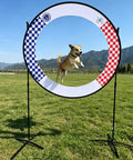 Dog jumping through Portable Outdoor Drone Racing Hoop Kit For Backyard Obstacle Courses And Dog Agility Training, 150 CM tall.