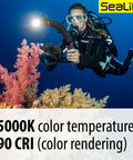 Diver using Underwater Photo And Video Light Beast 2500 Lumen COB LED With 120 Degree Wide Beam for vibrant coral photography.