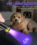 Powerful Dual UV Flashlight 365nm 395nm Mini Wood Lamp USB C Rechargeable Ultraviolet Blacklight in use detecting pet urine
