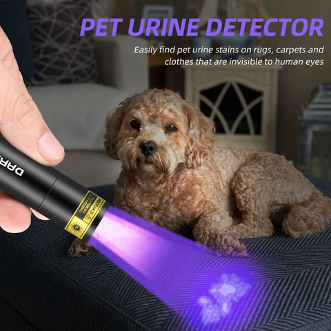 Pocket-Sized 395nm UV Flashlight USB-C Rechargeable Tiny But Mighty Blacklight highlighting pet urine stain near dog
