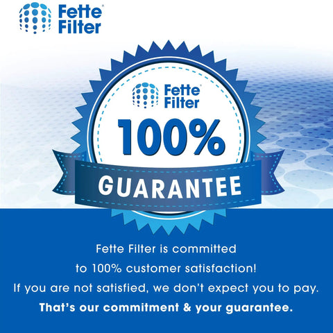 BF35 True HEPA H13 Replacement Filter For Classic Air Purifier Silver Carbon Pack 100% satisfaction guarantee badge