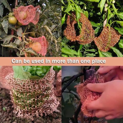 Sturdy Pure Copper Wool Mouse Blocker Mesh 4 Inch By 40 Inch used in gardens for rodent proofing around plants, flexible design.