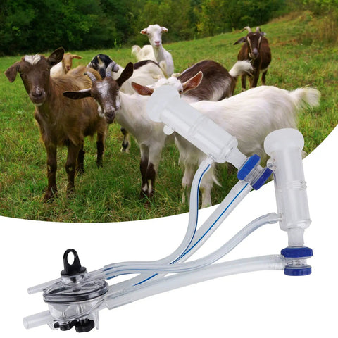 Goat And Sheep Milker Claw Kit With Teat Cups And Milking Cluster For Mobile Handheld Milking System shown with goats