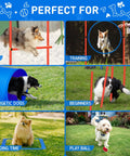 All In One Backyard Dog Agility Course For Active Pups With Adjustable High Jump Weave Poles and Tunnel in use