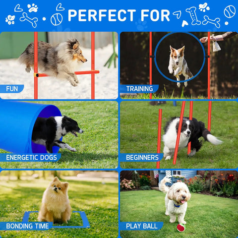 All In One Backyard Dog Agility Course For Active Pups With Adjustable High Jump Weave Poles and Tunnel in use
