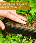 Hand planting seedlings in 10 Pack Thickened Seed Starter Trays Reusable Plastic Plant Seedling Trays For Germination And Propagation.