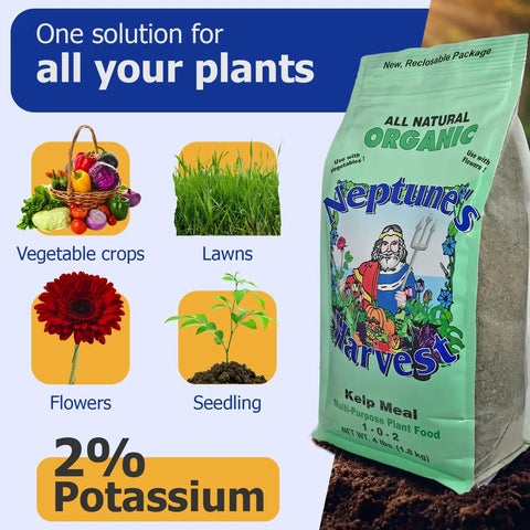 Crab And Lobster Shell Plant Food 5-3-0 With Kelp Meal 1-0-2 Dual Pack Organic Fertilizer For Lawn And Garden That Boosts Soil Health Root Strength Moisture Retention And Big Growth. 4 lb bag