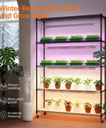 Beast 5 Tier Indoor Plant Stand With Grow Lights in living room, 47in long, 71in high, displaying plants on shelves with T5 lights.