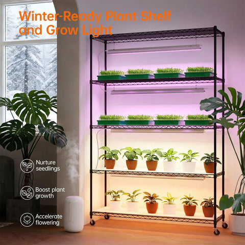 Beast 5 Tier Indoor Plant Stand With Grow Lights in living room, 47in long, 71in high, displaying plants on shelves with T5 lights.