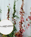 Heavy Duty 98 Ft Nylon Coated Stainless Steel Aircraft Cable Wire Rope Kit supporting climbing plants on a wall trellis