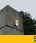 Nautical Brass Bulkhead Wall Light Shade Only For Outdoor And Indoor Use IP65 Waterproof on concrete wall with greenery