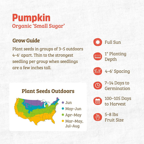 Guide for Small Sugar Pumpkin Seeds Packet 2.5G 100 Percent Organic Non GMO Seed Packet For Indoor And Outdoor Growing Easy To Grow All Seasons Year Round Harvest showing planting seasons map, sun, spacing, depth, fruit size, and germination period.