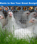 Heavy Duty Half Inch Hardware Cloth 19 Gauge 48 By 100 Feet Mild Steel Wire Mesh Fence Roll enclosing chickens in grass.
