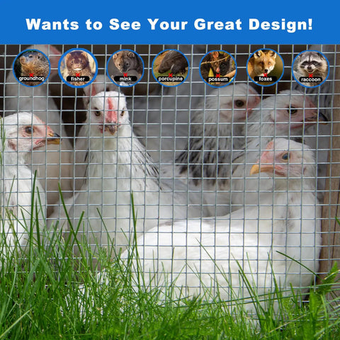 Heavy Duty Half Inch Hardware Cloth 19 Gauge 48 By 100 Feet Mild Steel Wire Mesh Fence Roll enclosing chickens in grass.