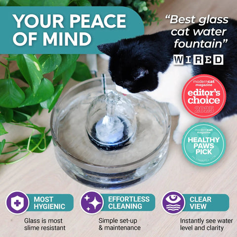 All Glass Pet Fountain 90oz 2.7L For Cats And Dogs, Glass Cat Fountain And Automatic Water Dispenser, Hygienic Drinking Stream, Leakproof Design, Easy Clean, Top Notch Hydration
