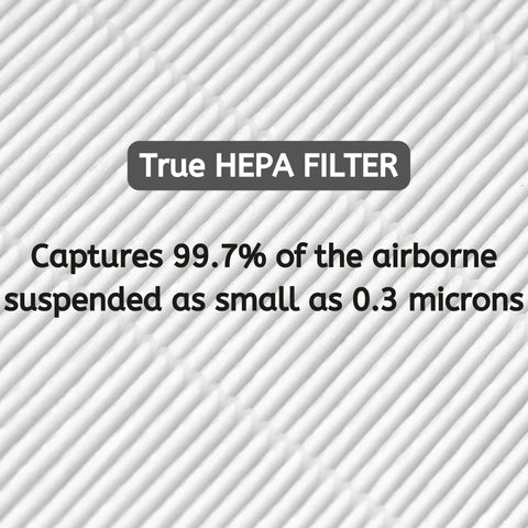 True HEPA filter text emphasizing 99.7% particle capture efficiency down to 0.3 microns
