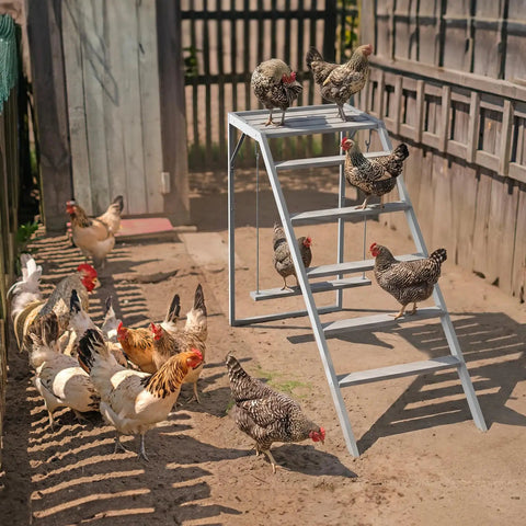 Chicken Perch With Ladder And Swing For Coop Roosting Bars For Chickens Enrichment Toy and Activity Playground in wooden run