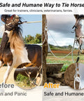 Horse using Safe Tie Ring For Horses, Humane Quick Release Tie Ring With Eye Bolt, before and after scenario shown