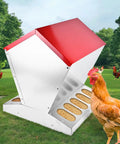 Heavy Duty Galvanized Chicken Feeder Rat Proof Poultry Food Dispenser with Secure Lid beside rooster in backyard.